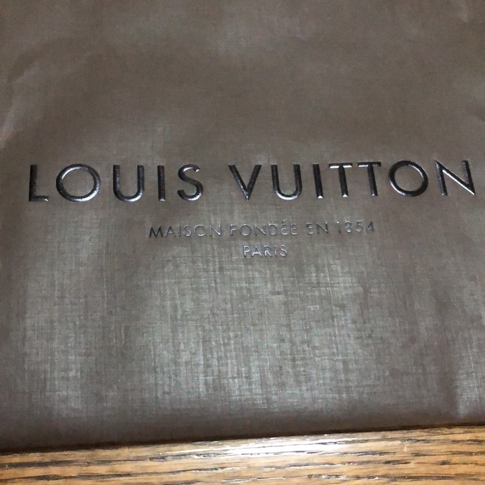 Louis Vuitton Paper Shopping Bag - Picture 2 of 7